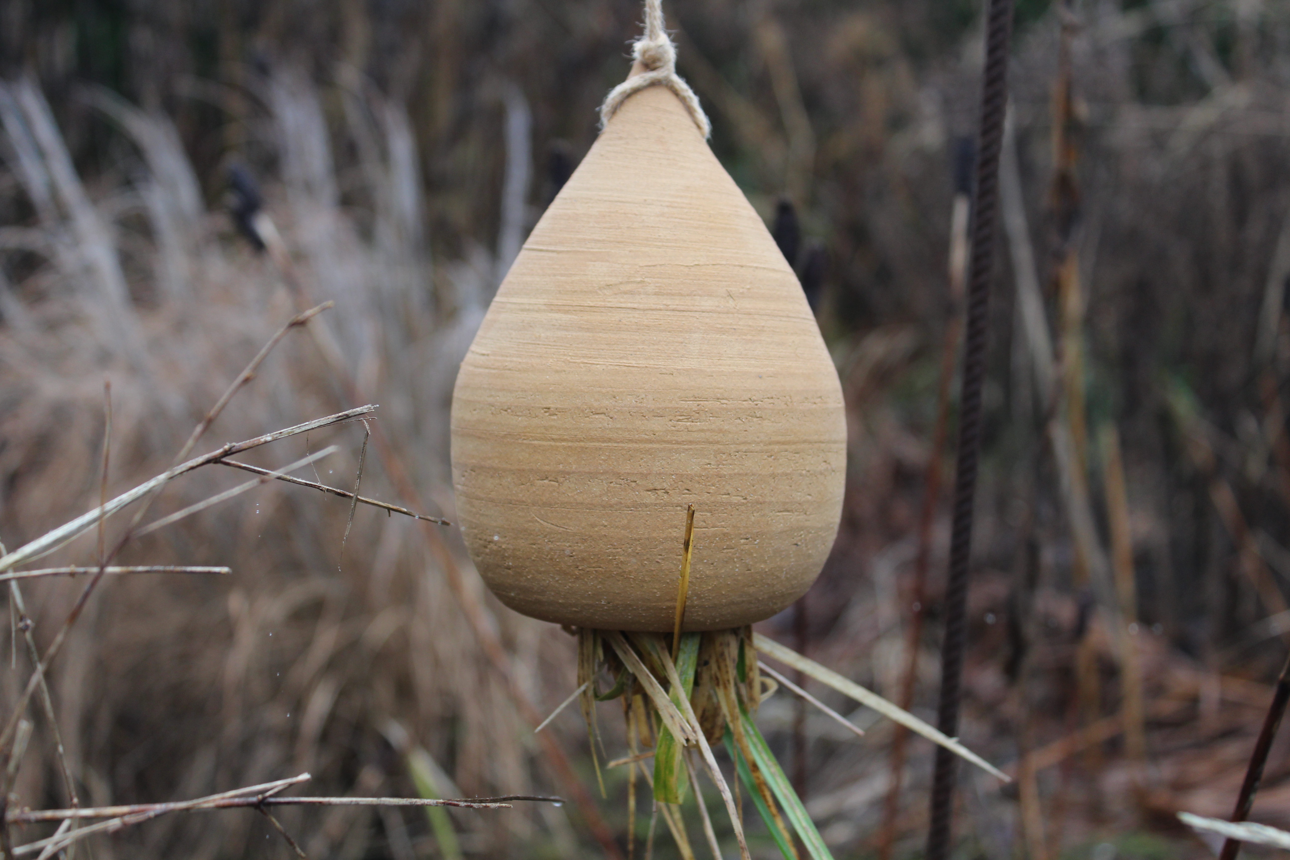 Oorwormpot Oorwormpot