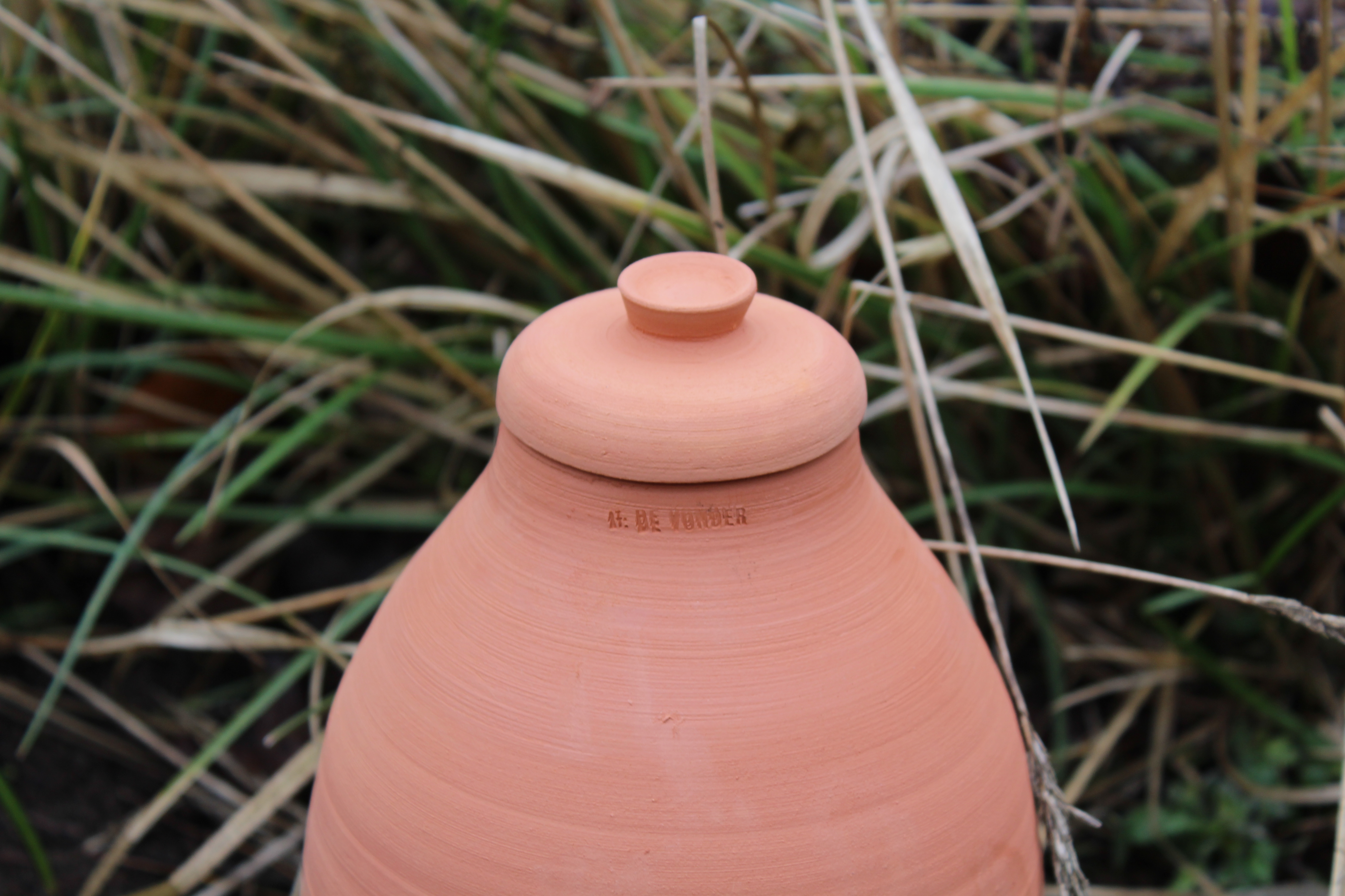 Olla Olla