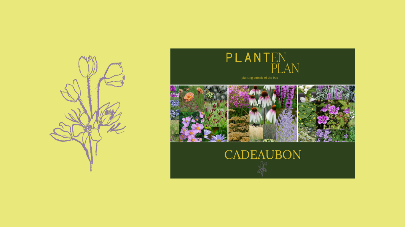 Cadeaubon Cadeaubon